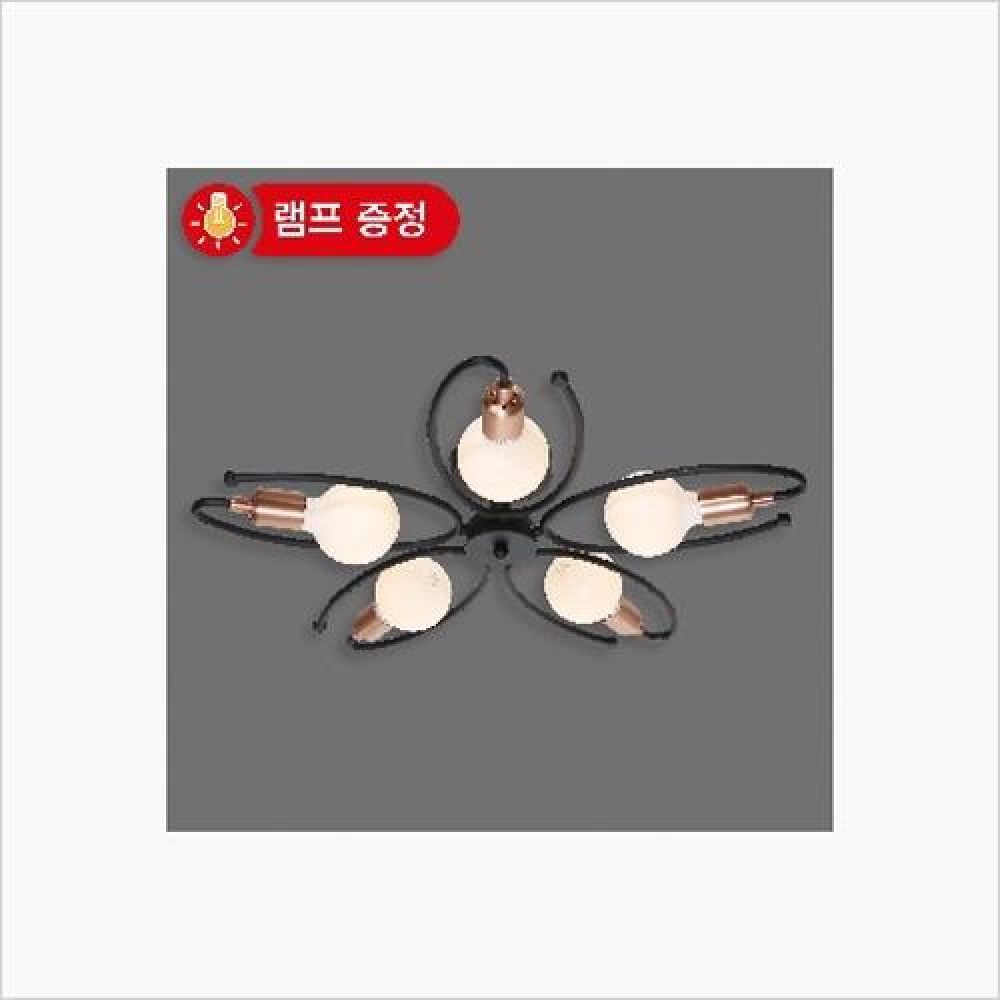 인테리어 조명 5등 직부등 검정 백열등기구