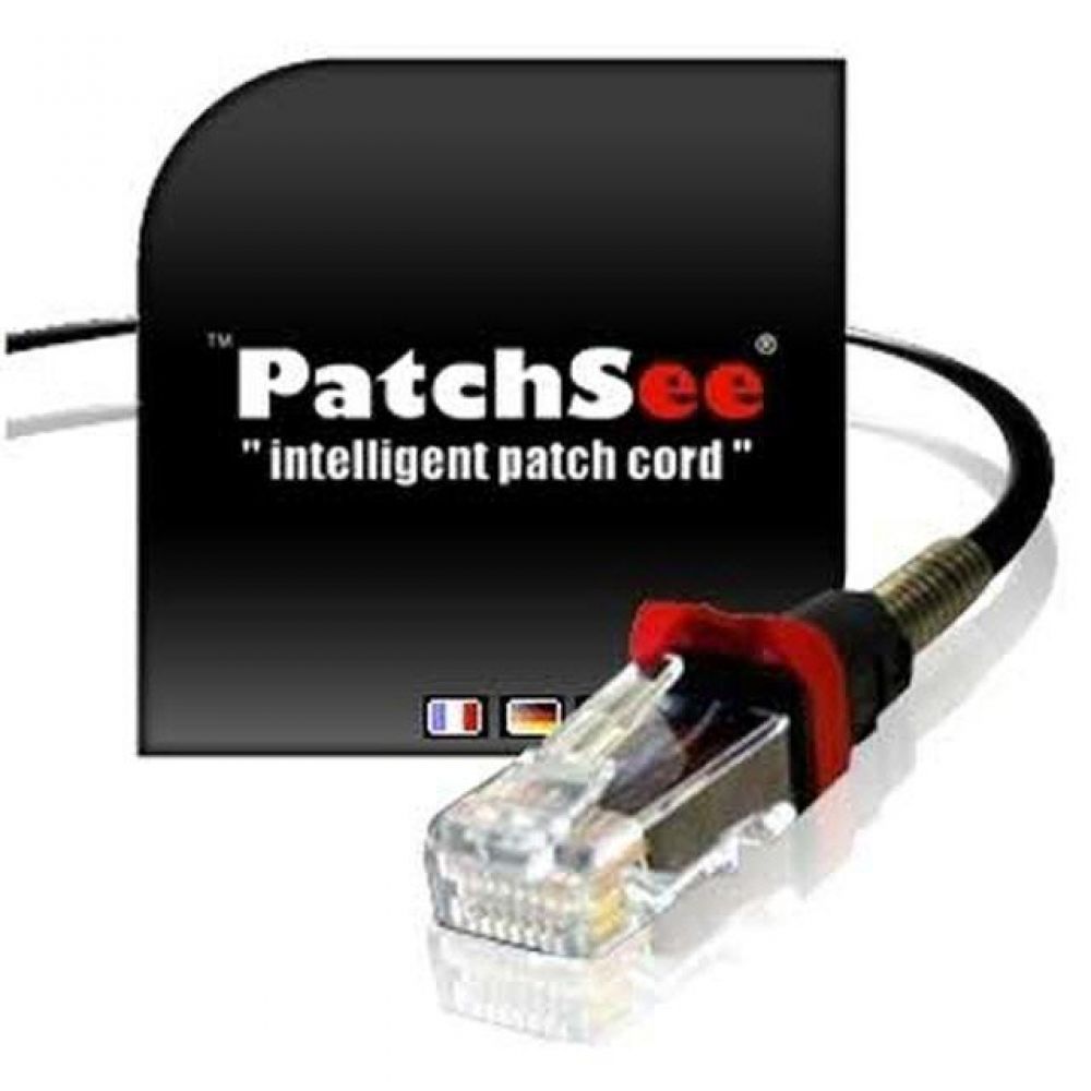 L PatchSee CAT.6A UL FTP 랜 케이블 30M