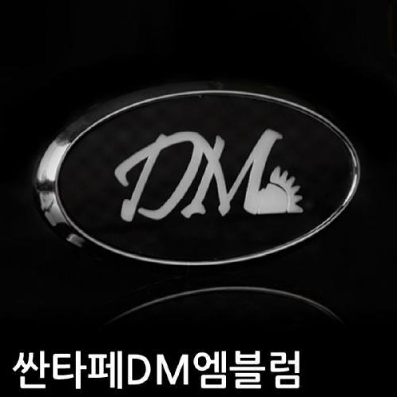 싼타페DM 차종 프리미엄 LED 패션 엠블럼 차량용 엠블럼 카악세사리용품