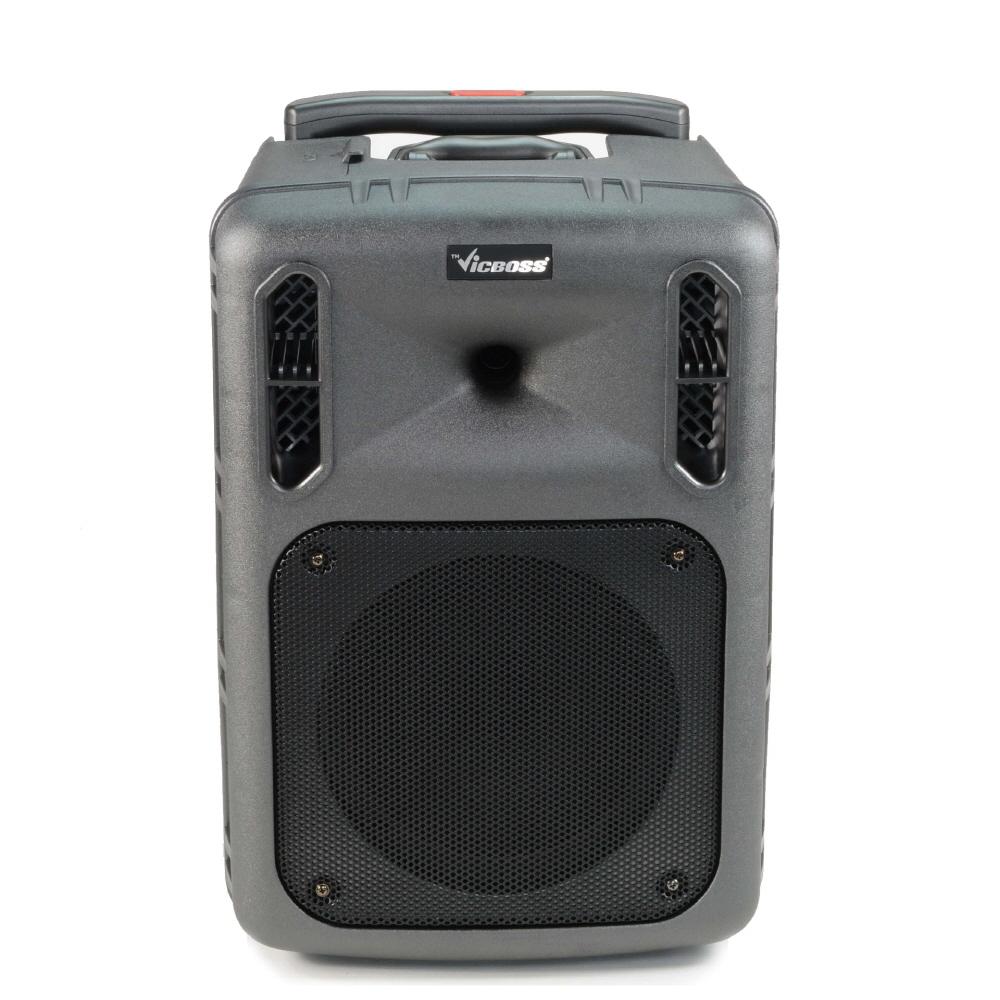 교회 포터블 버스킹 앰프 이동식 스피커 300W 볼륨