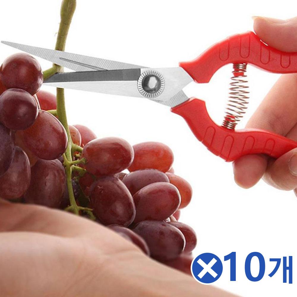 과일따기 원예 전지가위-18.5cmx10개 꼭지가위 꽃가위