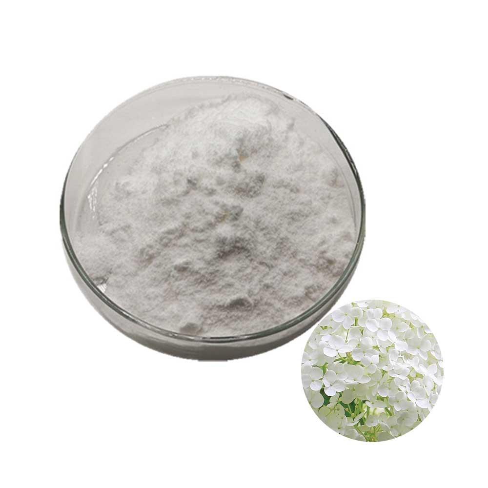 수국잎열수추출분말 1kg