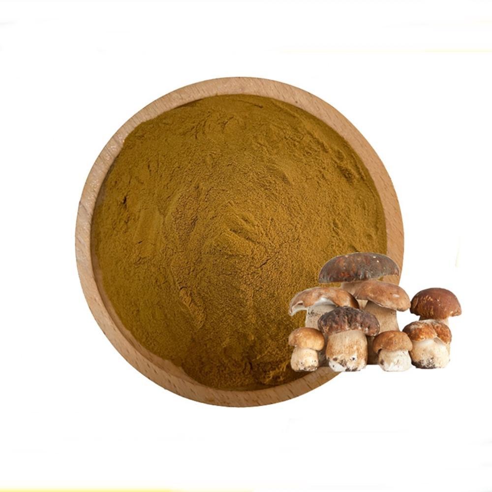 버섯혼합추출분말 1kg