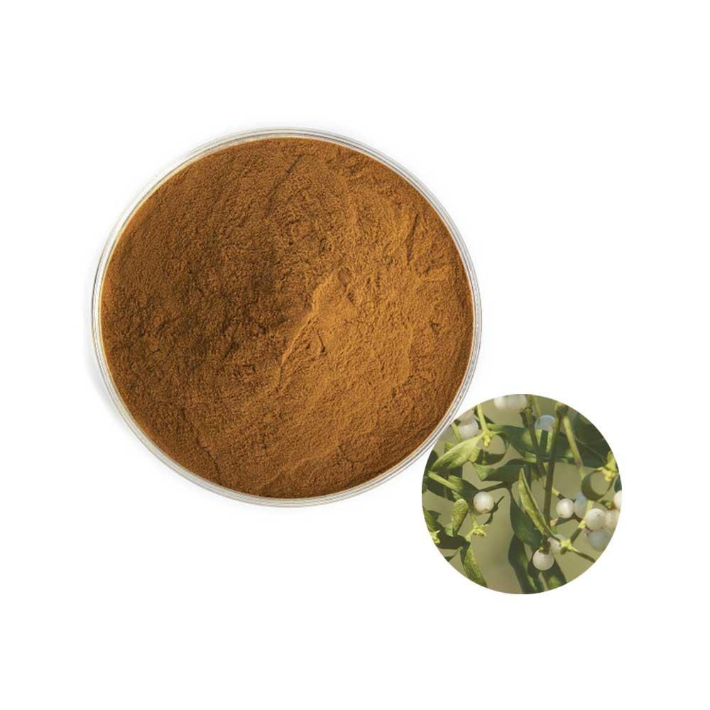 겨우살이추출분말 1kg