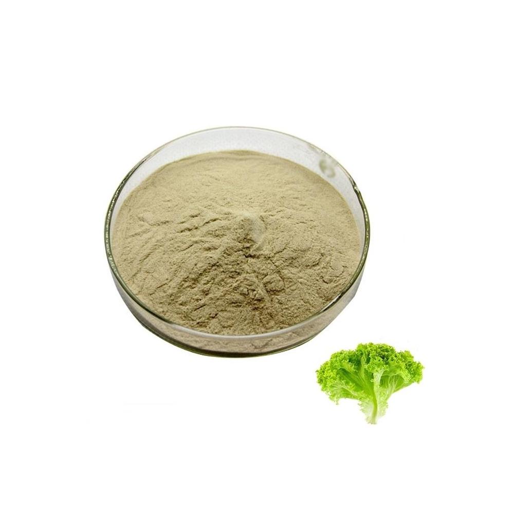 상추추출분말 1kg