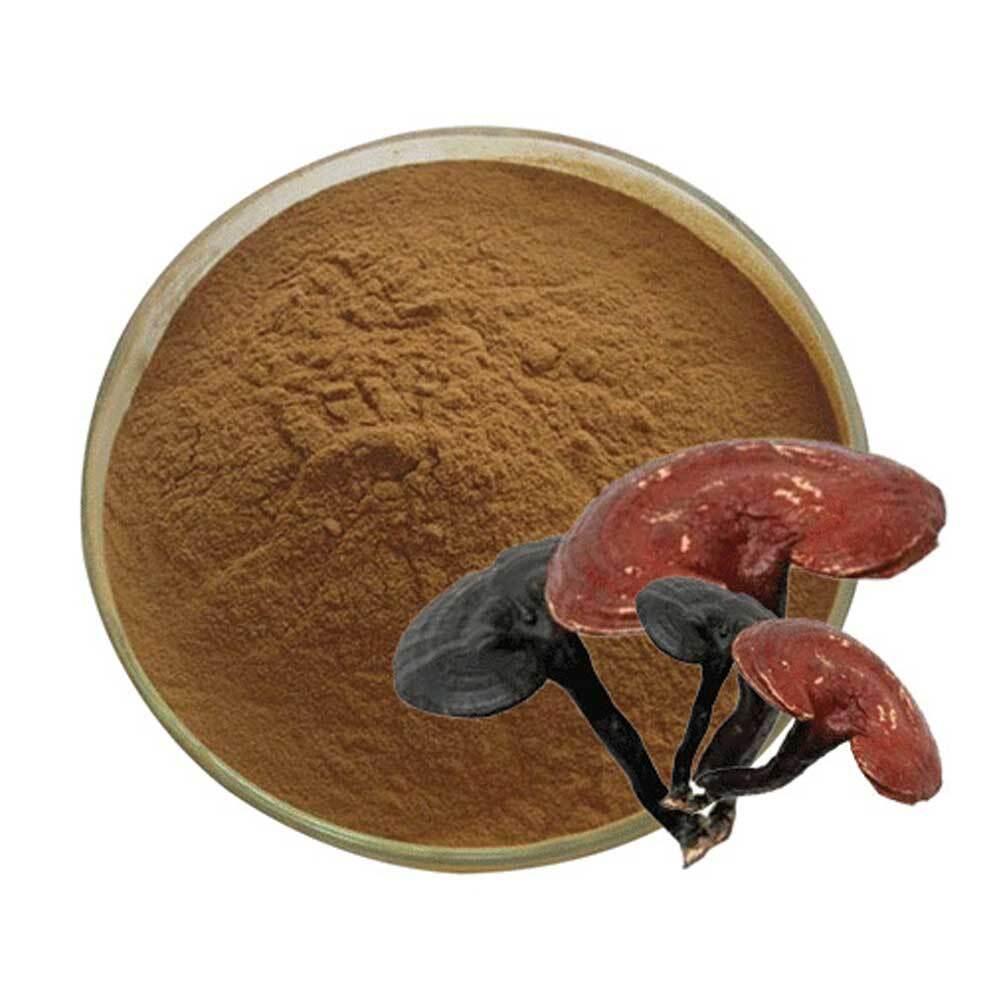 영지버섯추출분말 1kg