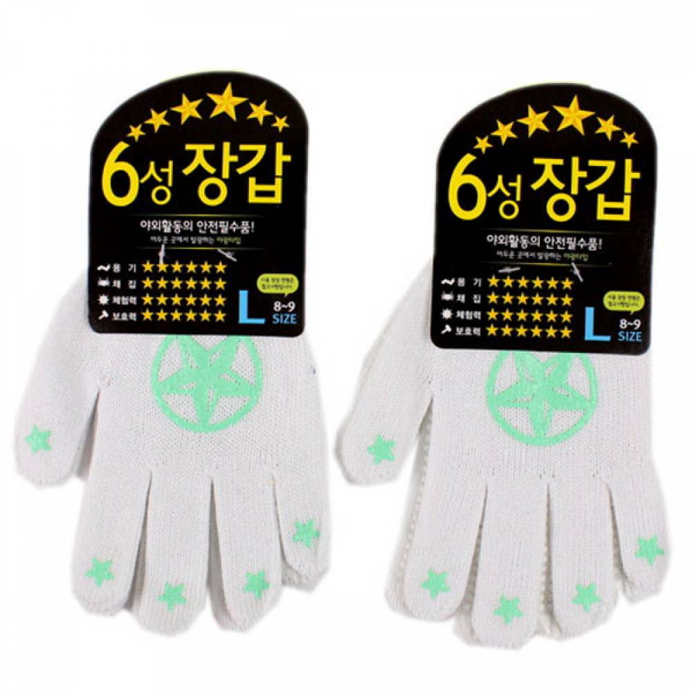6성 장갑 L X20개