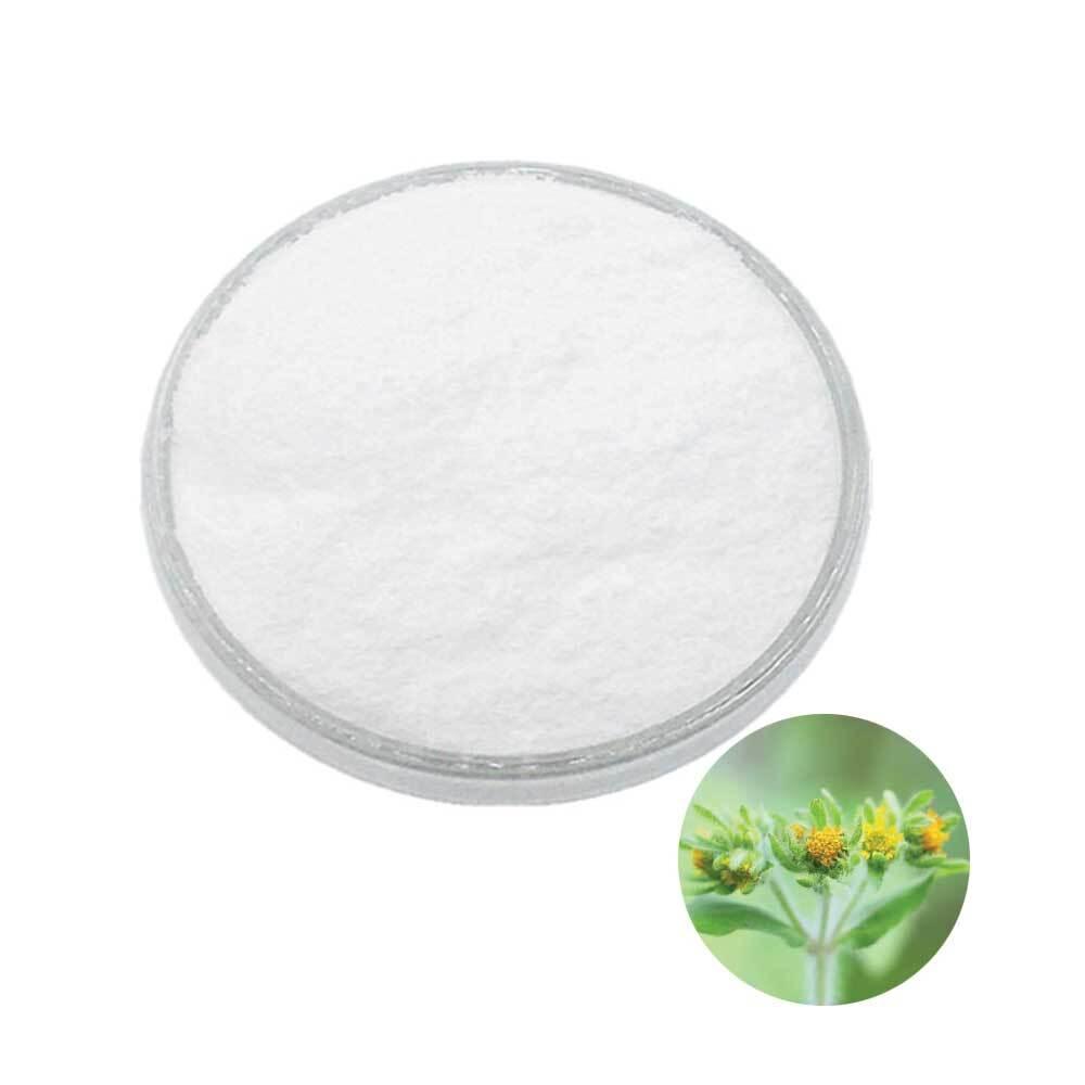 진득찰추출분말 1kg
